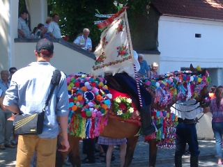 Jízda králů 2014-6