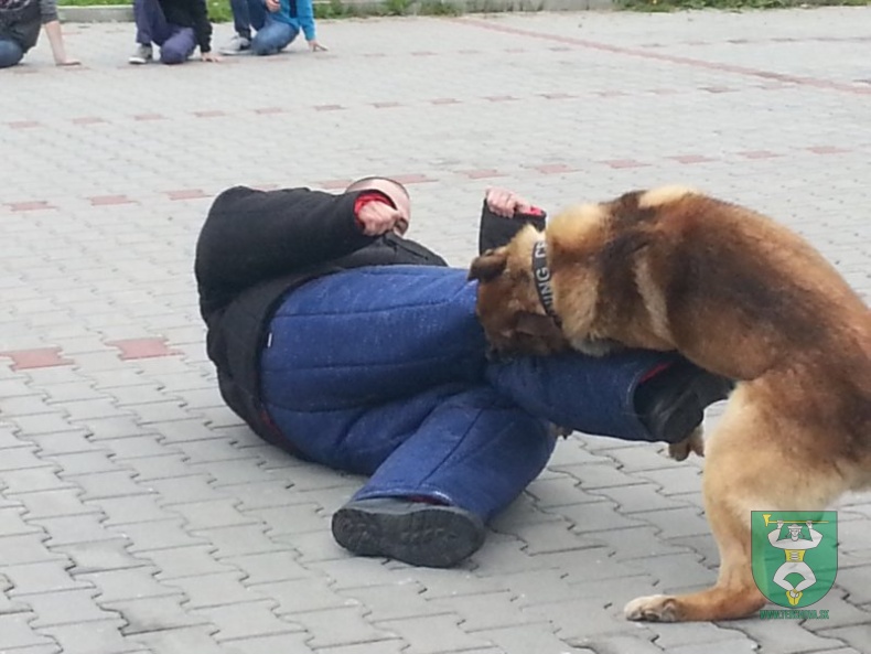 MDD v RIC Terchovec 2014-32