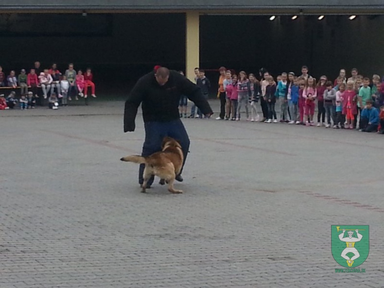 MDD v RIC Terchovec 2014-25