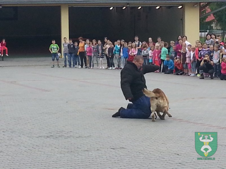 MDD v RIC Terchovec 2014-26
