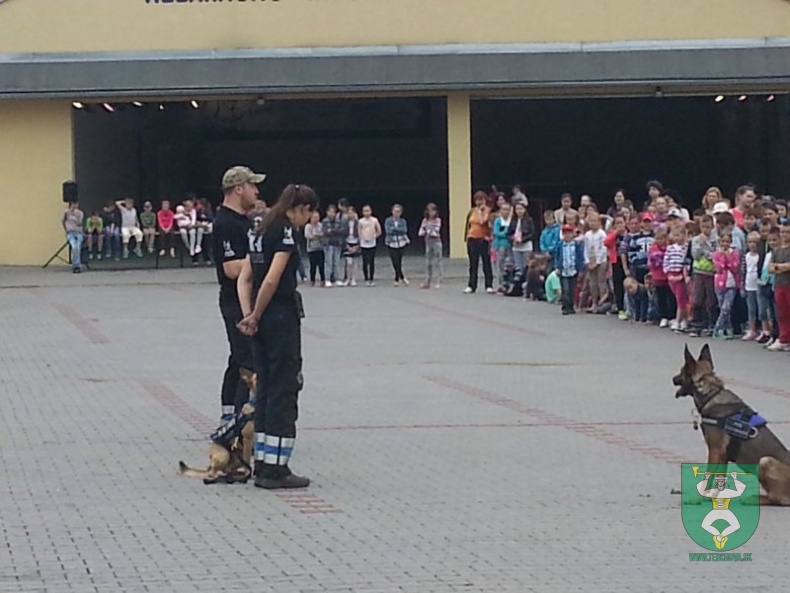 MDD v RIC Terchovec 2014-23