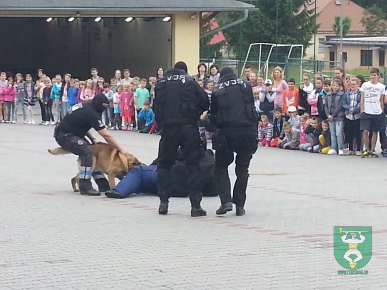 MDD v RIC Terchovec 2014-28