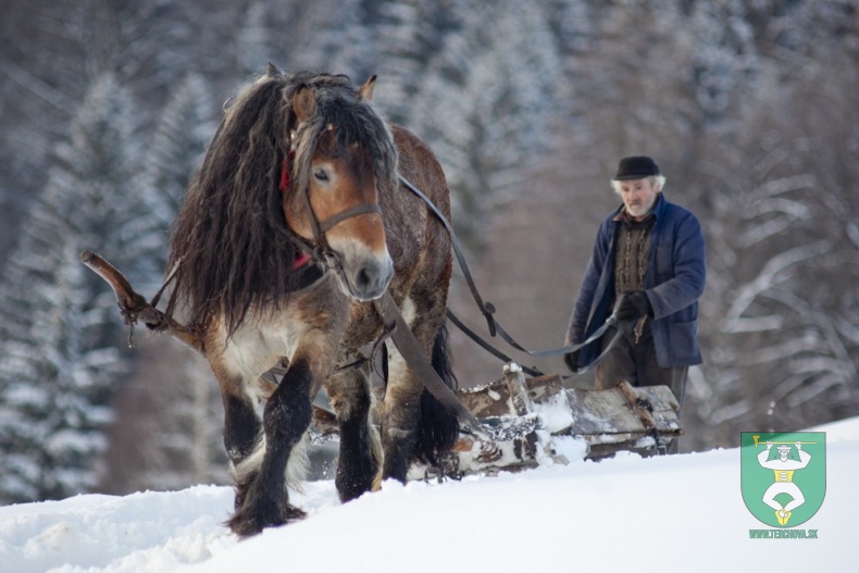 Najkrajšia fotografia z územia MAS 2014-2