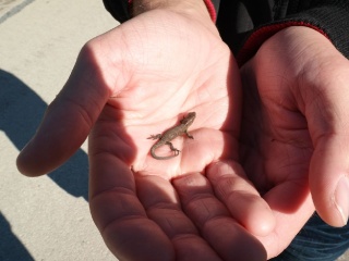 Obnova po povodni-28