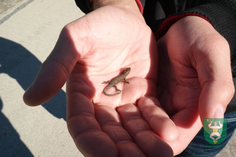 Obnova po povodni-28