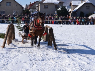 Preteky gazdovských koní 2015-65