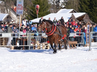 Preteky gazdovských koní 2015-64