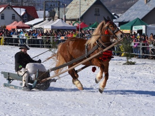 Preteky gazdovských koní 2015-52