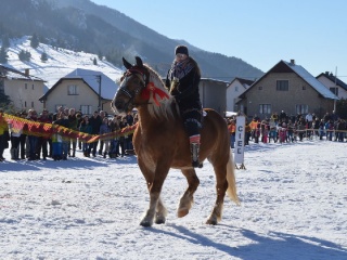 Preteky gazdovských koní 2015-131