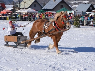 Preteky gazdovských koní 2015-39