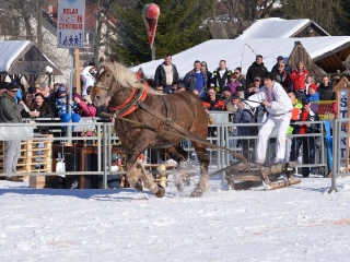 Preteky gazdovských koní 2015-67
