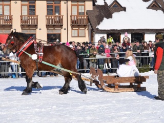 Preteky gazdovských koní 2015-49