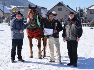 Preteky gazdovských koní 2015-43