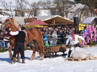 Preteky gazdovských koní 2015-77