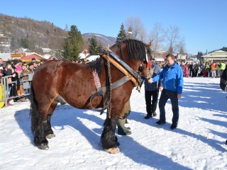 Preteky gazdovských koní 2015-115