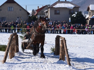 Preteky gazdovských koní 2015-73