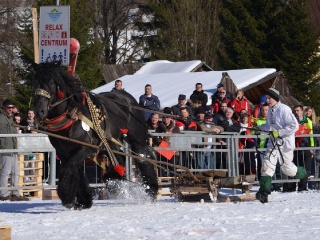 Preteky gazdovských koní 2015-62