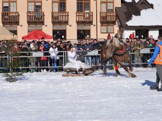 Preteky gazdovských koní 2015-68
