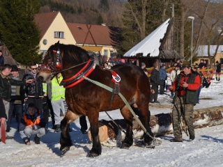 Preteky gazdovských koní 2015-133