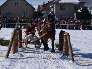 Preteky gazdovských koní 2015-71
