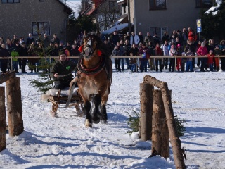 Preteky gazdovských koní 2015-75