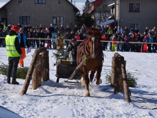 Preteky gazdovských koní 2015-56