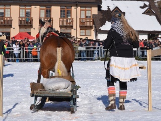 Preteky gazdovských koní 2015-61