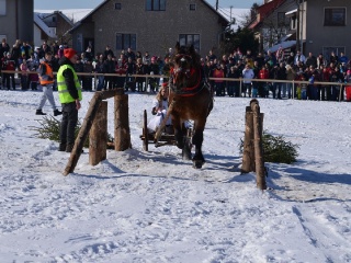Preteky gazdovských koní 2015-50