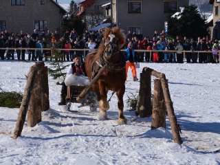 Preteky gazdovských koní 2015-58