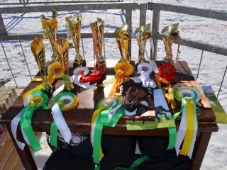 Preteky gazdovských koní 2015-27