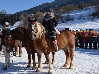 Preteky gazdovských koní 2015-110