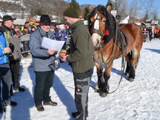 Preteky gazdovských koní 2015-125