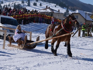 Preteky gazdovských koní 2015-51