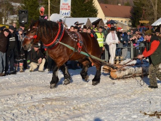Preteky gazdovských koní 2015-22