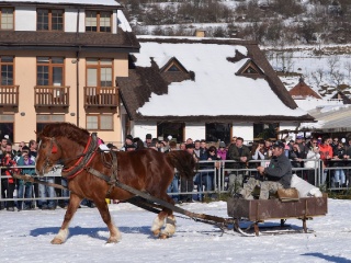 Preteky gazdovských koní 2015-55