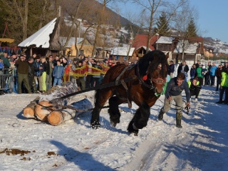 Preteky gazdovských koní 2015-21