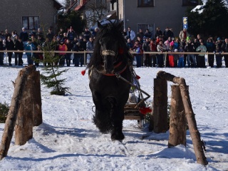 Preteky gazdovských koní 2015-63