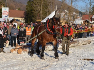 Preteky gazdovských koní 2015-23
