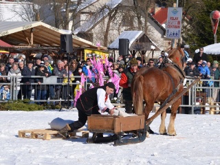 Preteky gazdovských koní 2015-59