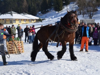 Preteky gazdovských koní 2015-99