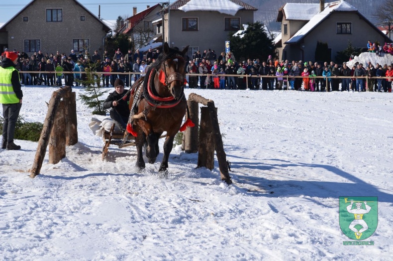 Preteky gazdovských koní 2015-65
