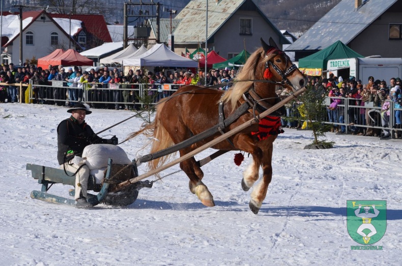 Preteky gazdovských koní 2015-52