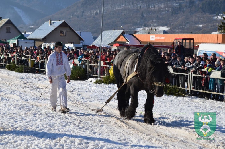Preteky gazdovských koní 2015-10