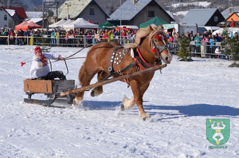 Preteky gazdovských koní 2015-39