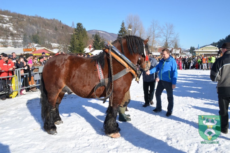 Preteky gazdovských koní 2015-115