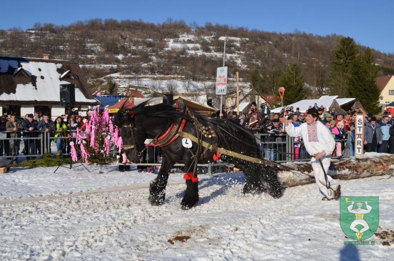 Preteky gazdovských koní 2015-8