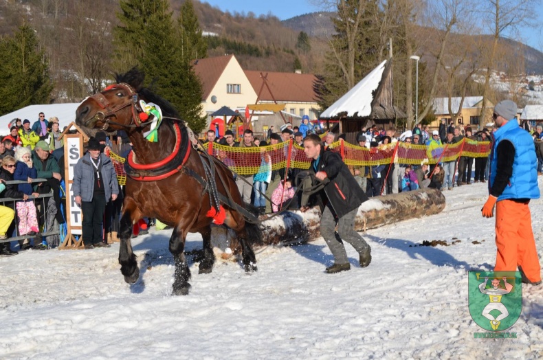 Preteky gazdovských koní 2015-11