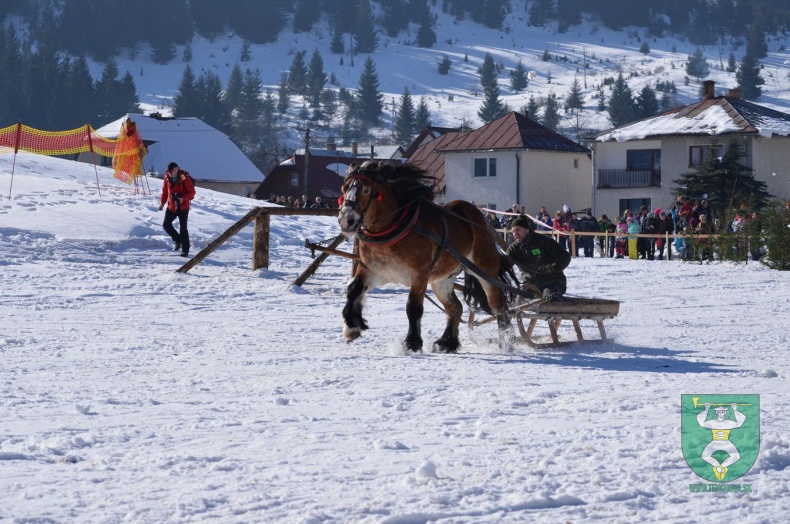 Preteky gazdovských koní 2015-36