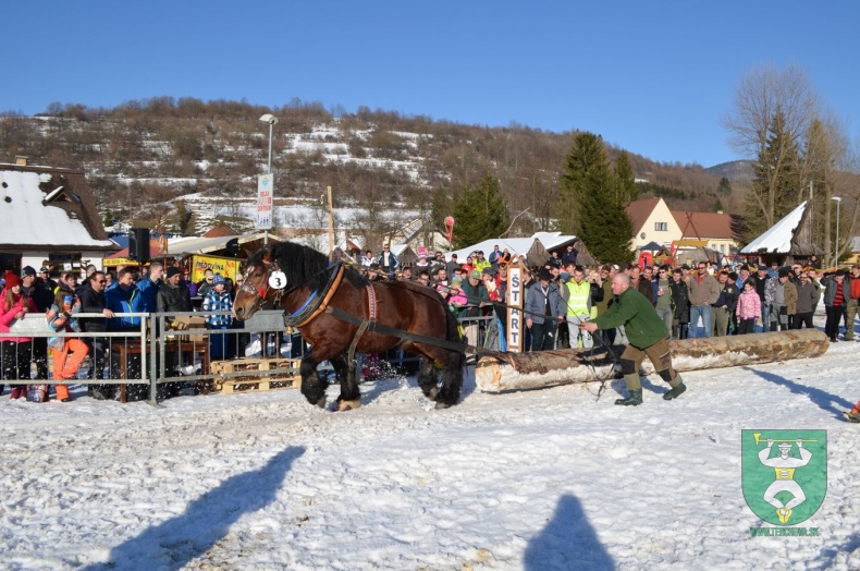 Preteky gazdovských koní 2015-4