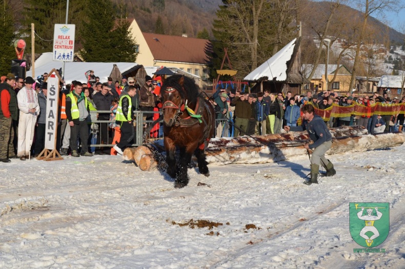 Preteky gazdovských koní 2015-20
